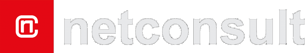 netconsult GmbH Logo